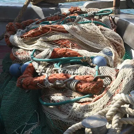 Lejlighed Casa Gargallo 28 *